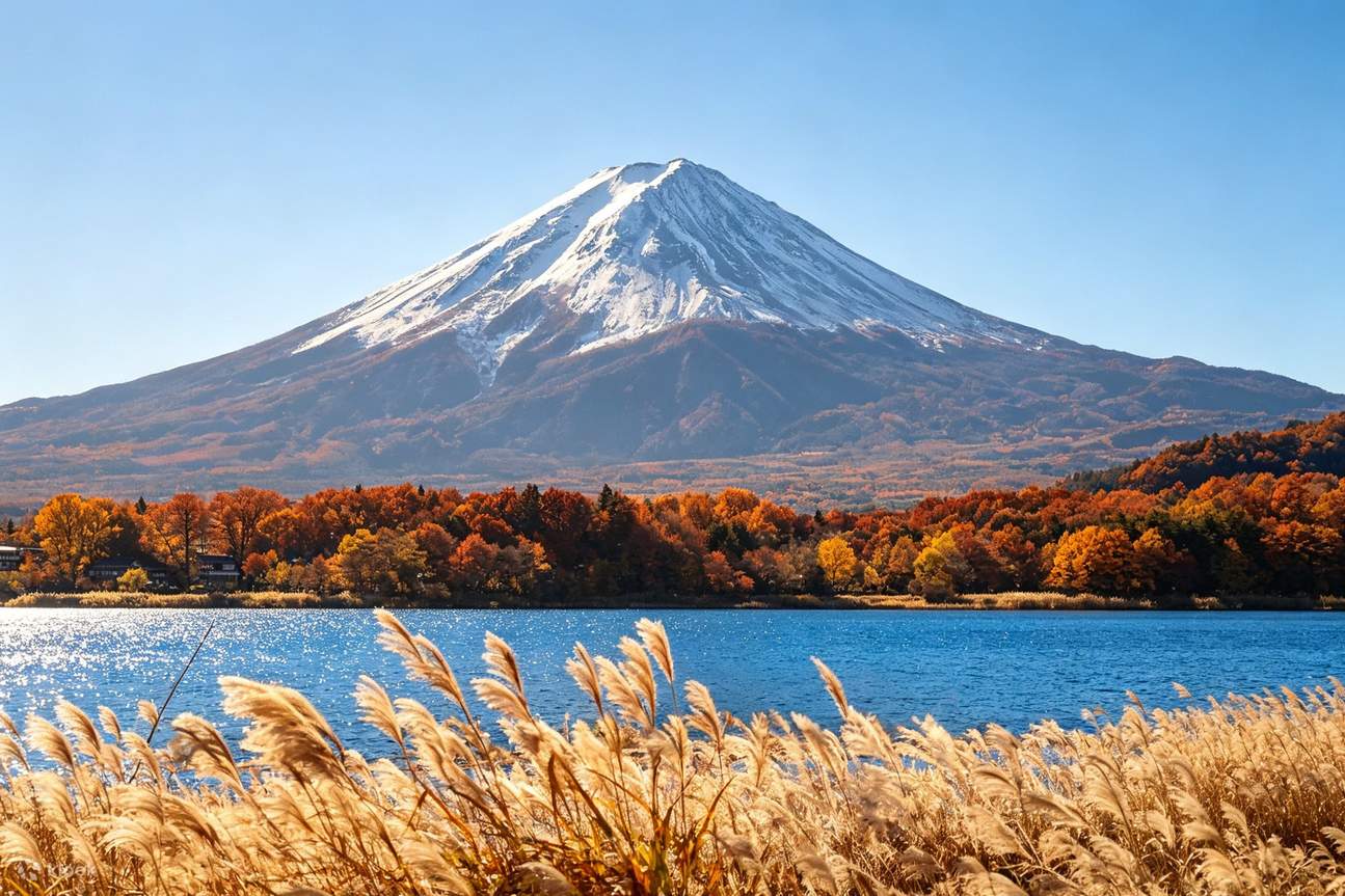 Panoramic Mt. Fuji Featured Experience Day Tour [Free Little Train